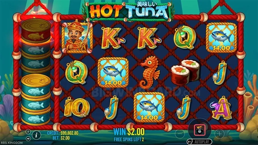 Responsible Gaming Guide